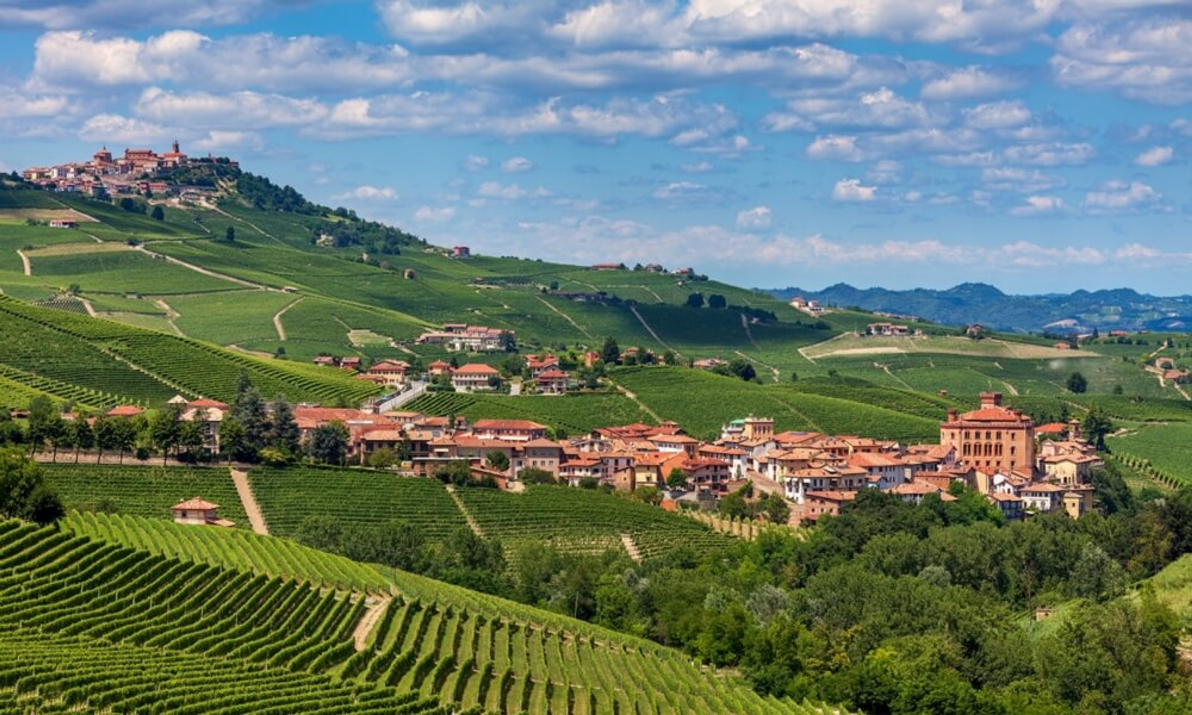 Wine and food tours in 2022