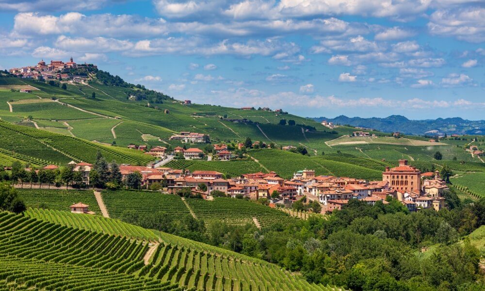 Wine and food tours in 2022