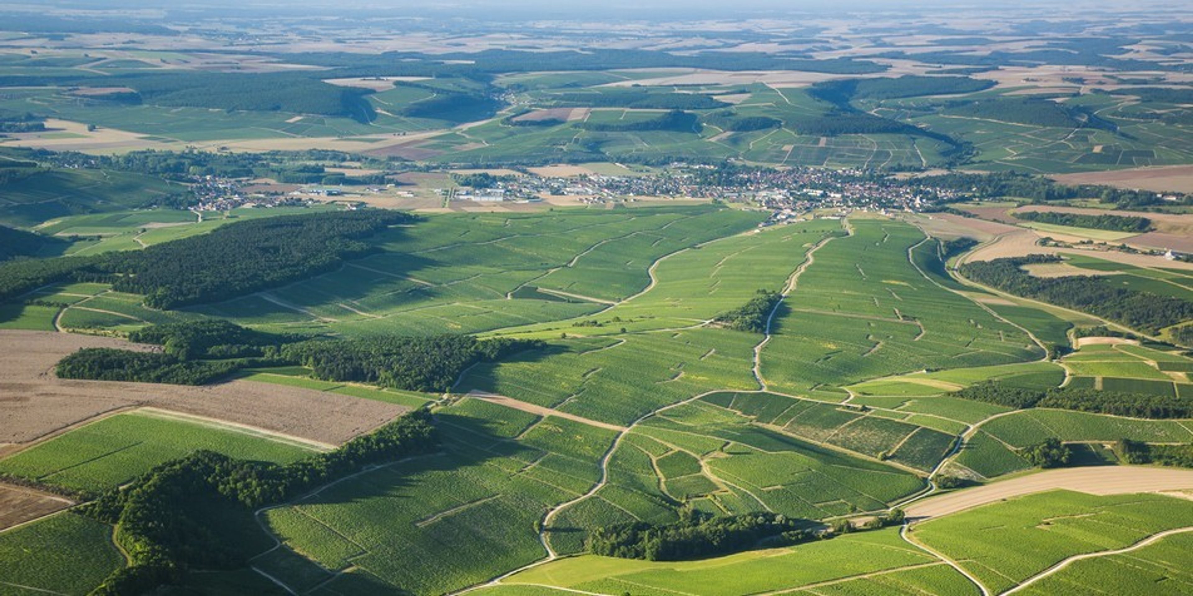 Wine and food tours in 2027
