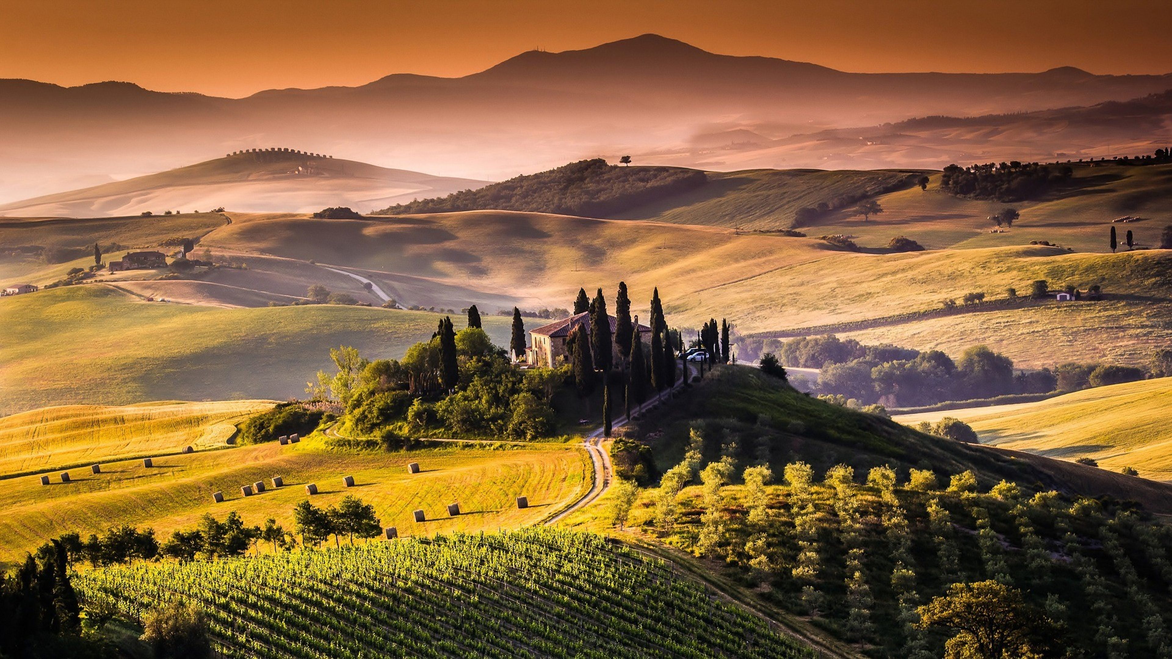Wine and food tours in 2023