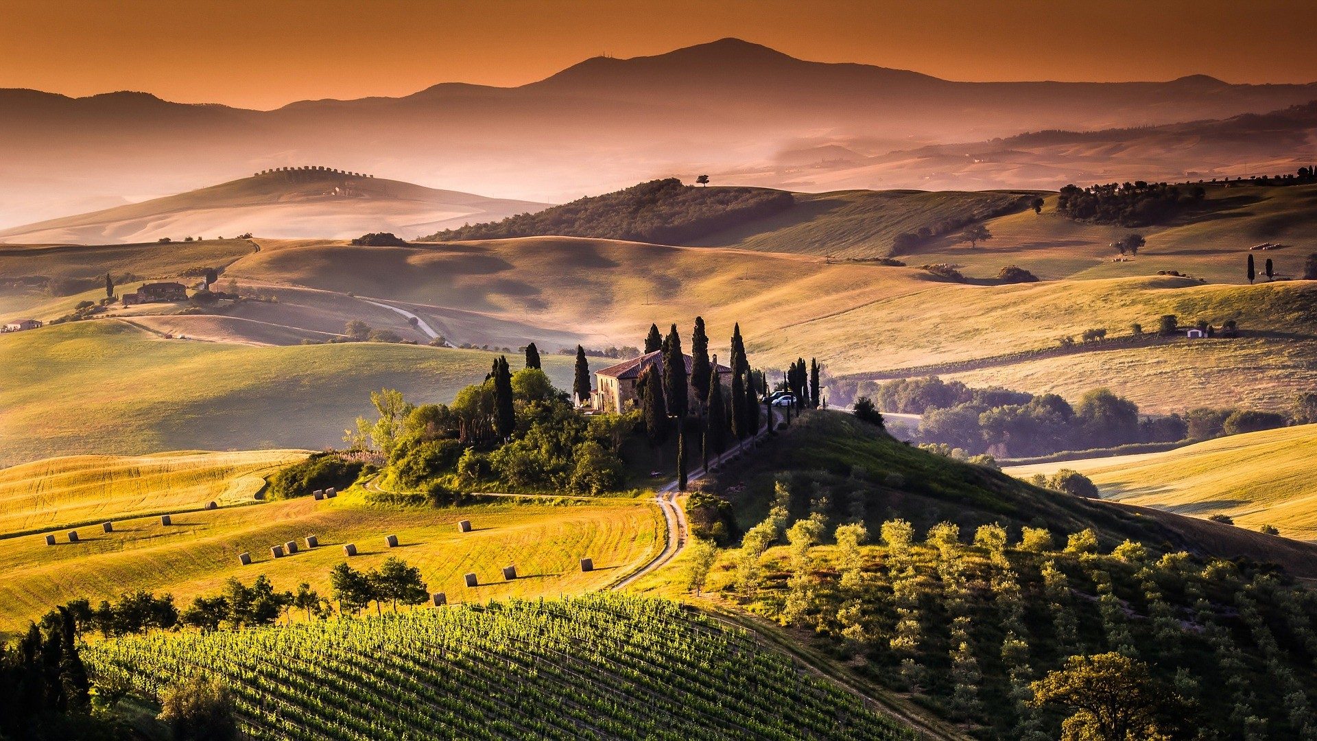 Wine and food tours in 2023