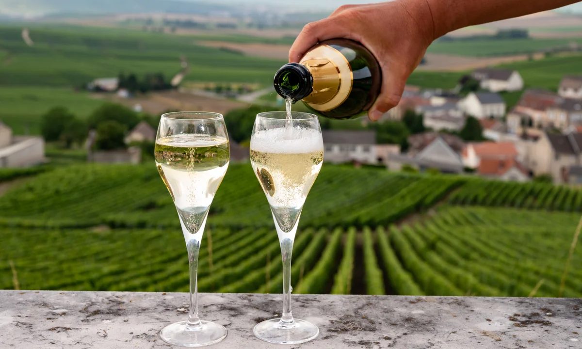 Wine and food travel in Piemonte