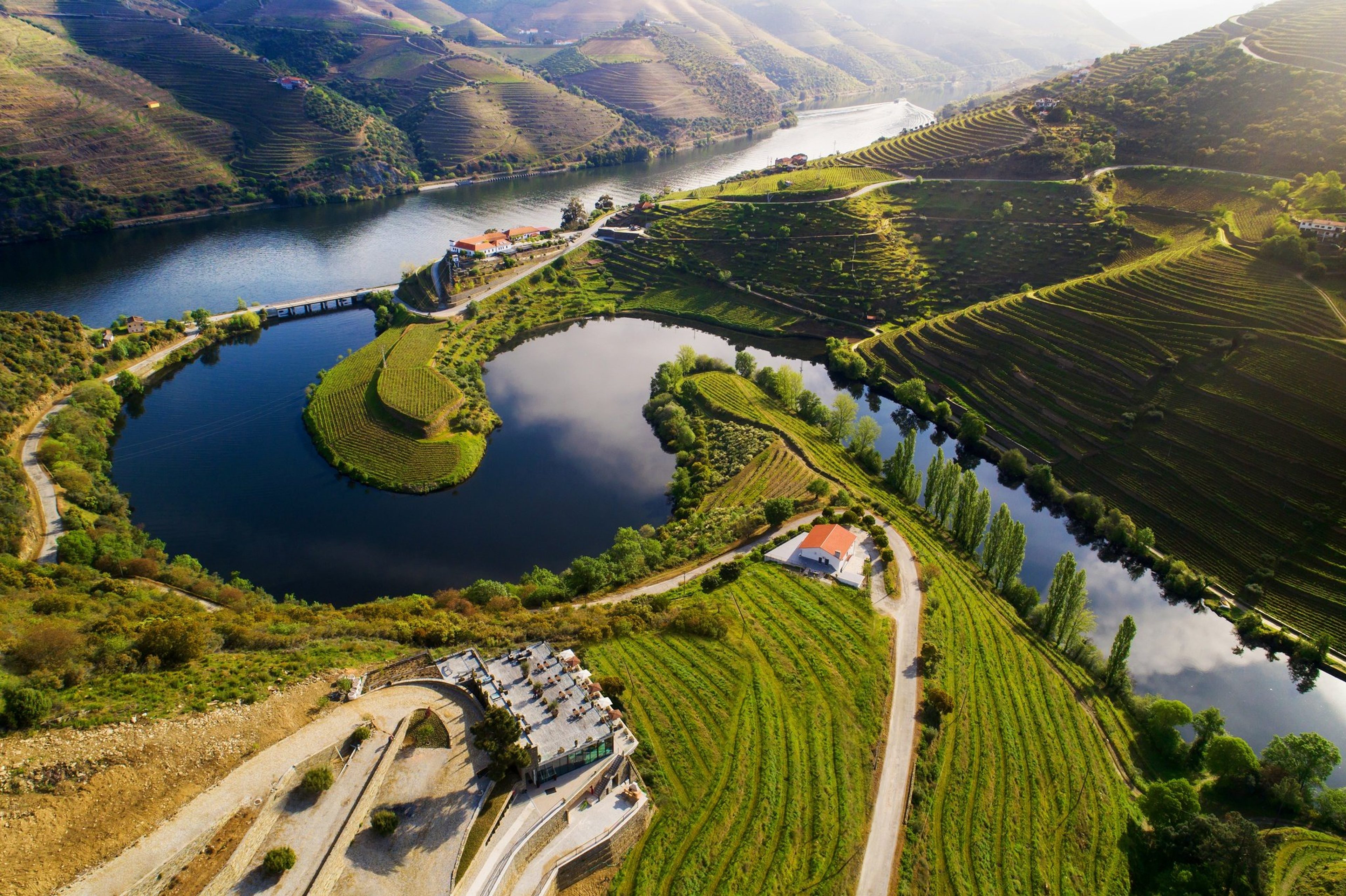 Wine and food tours in 2024