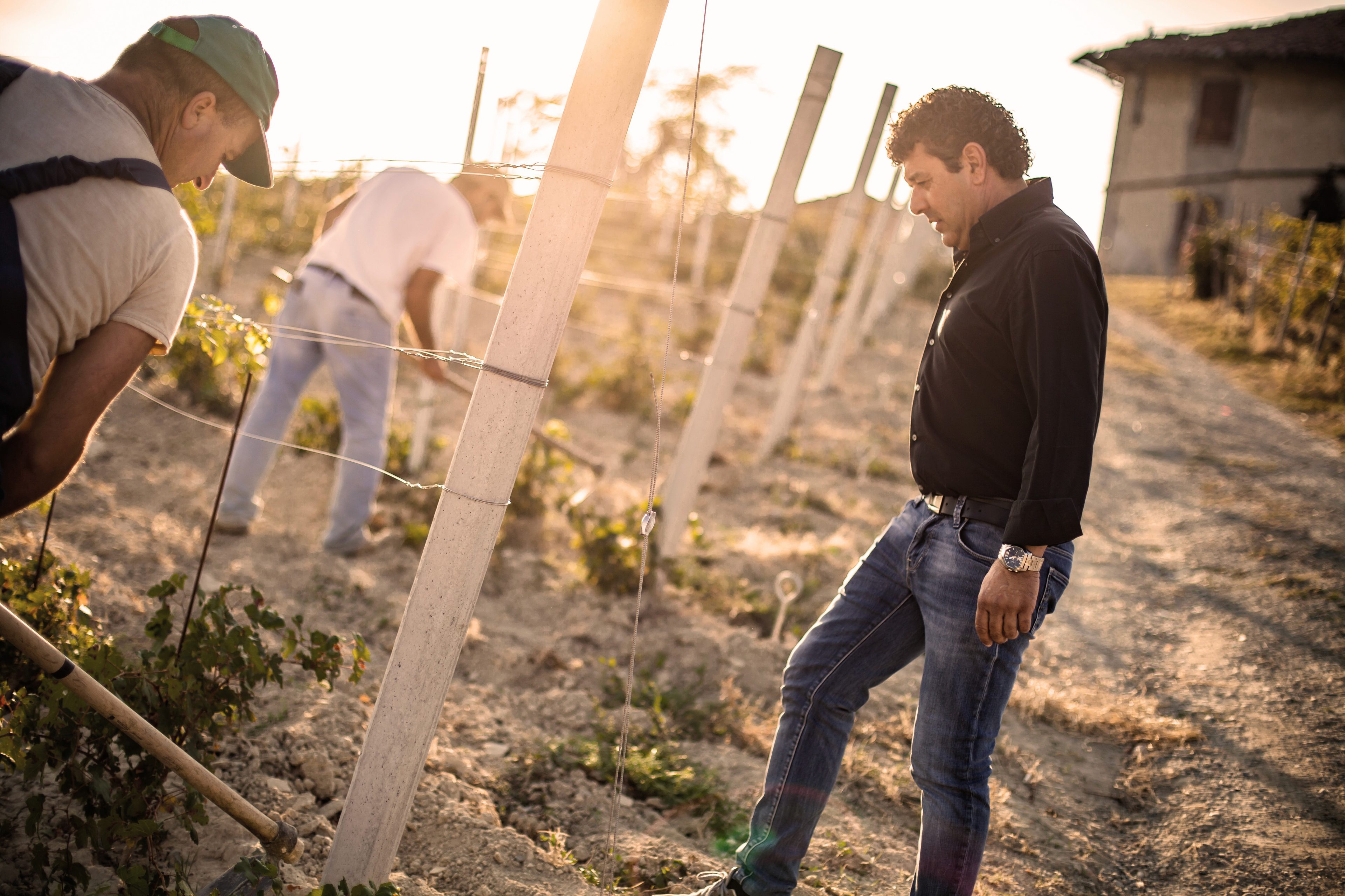 Winemakers and enologists in Piemonte
