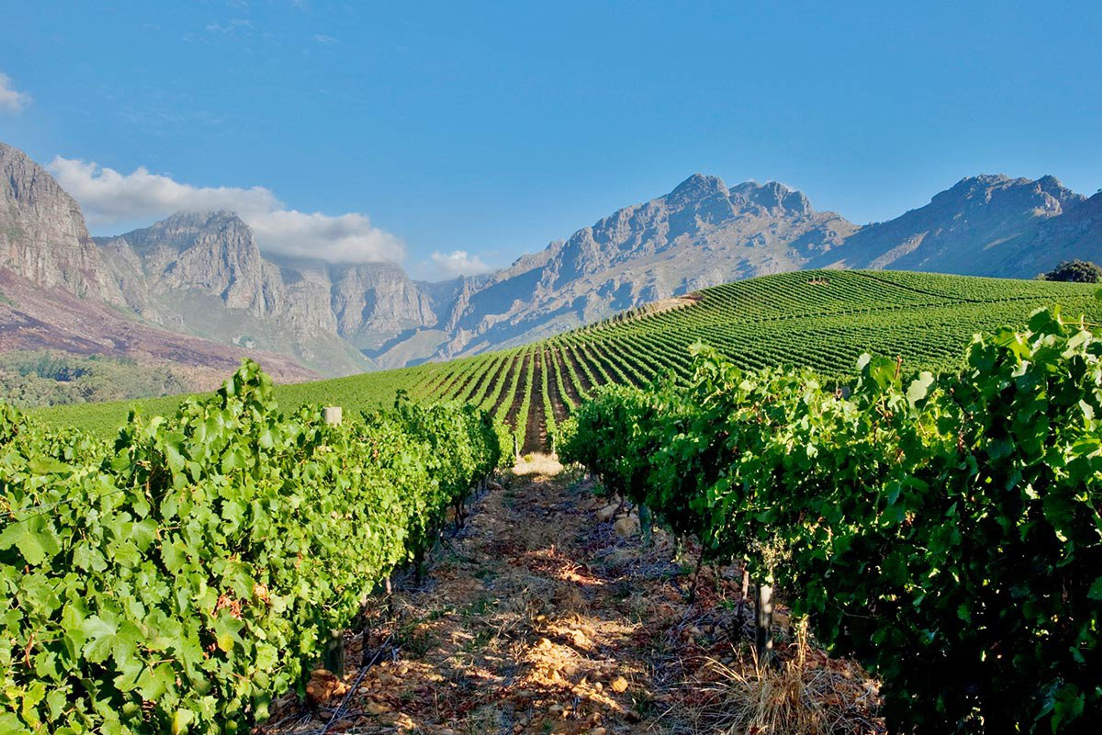 Wine and food tours in 2026