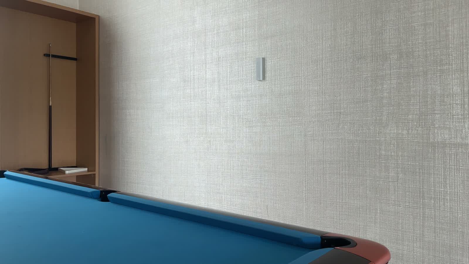 A clubhouse billiards room with a blue-baize table; a white Cane sits on the textured wall