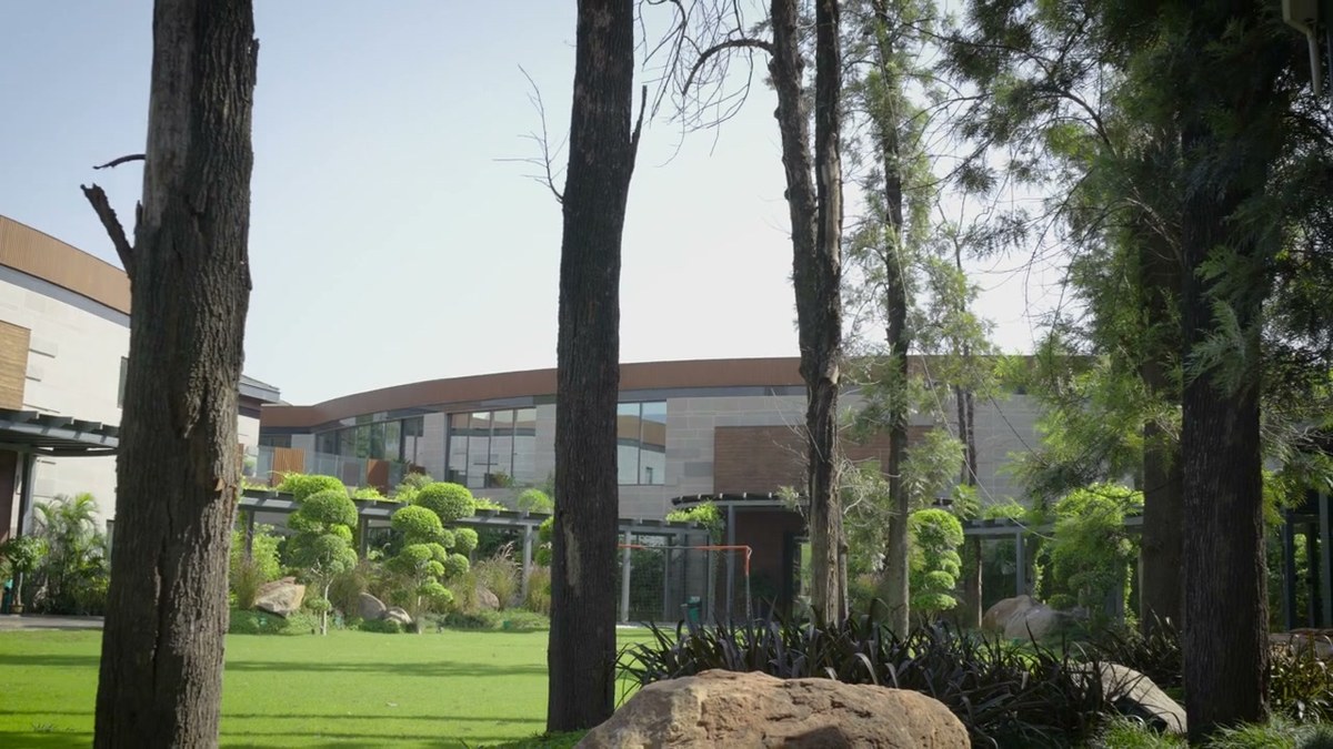The house seen from the lawn through mature pines, a long low elevation in stone and timber