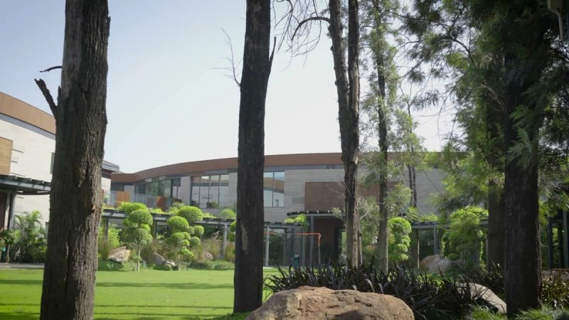 The house seen from the lawn through mature pines