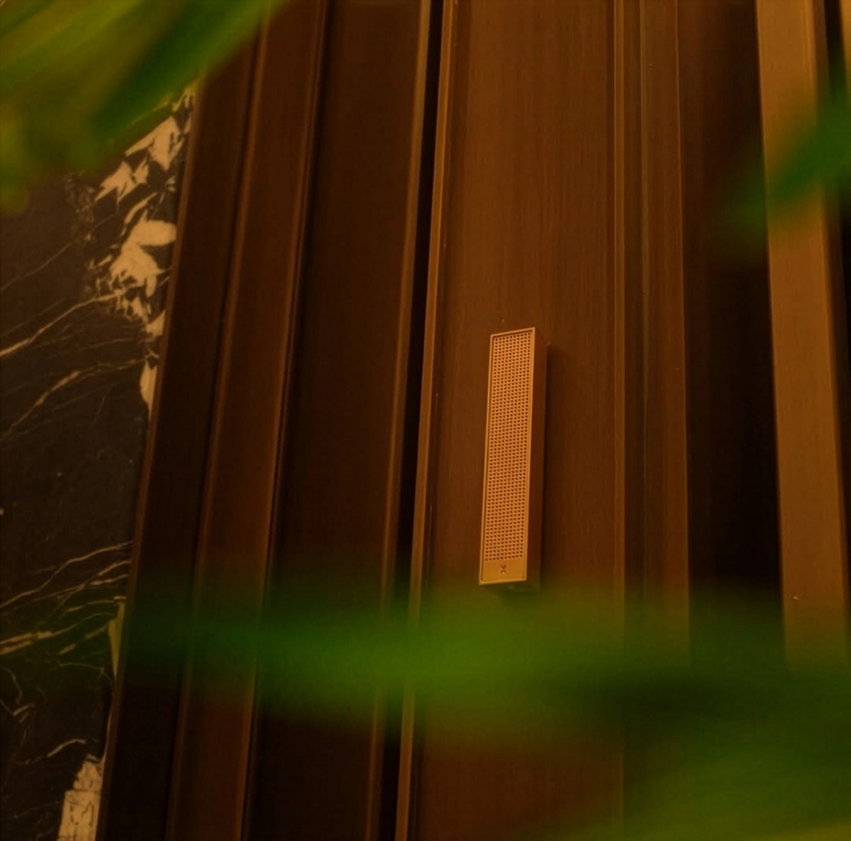 XSCACE Bonsai ultra-thin speaker showing the XS-Flow™ waveguide-engineered driver
