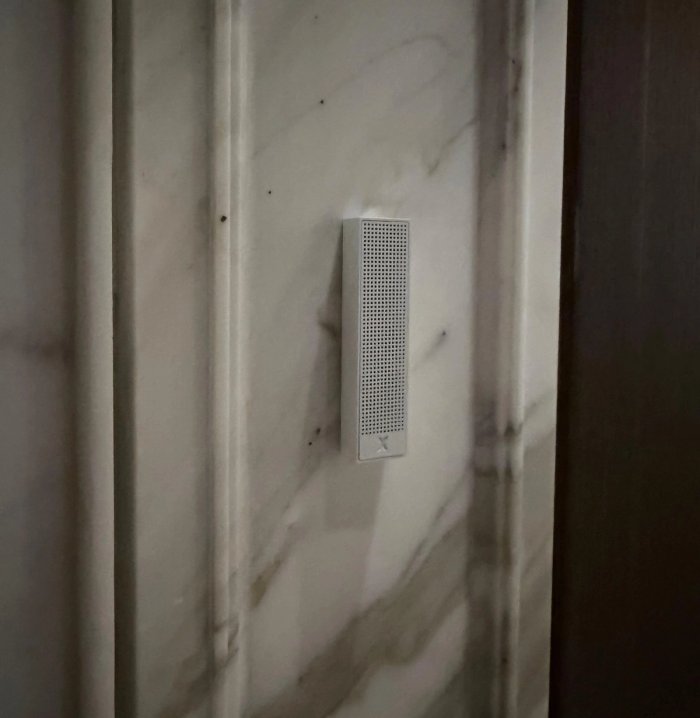 Case Study: Bonsai in a Grand Marble Lift Lobby