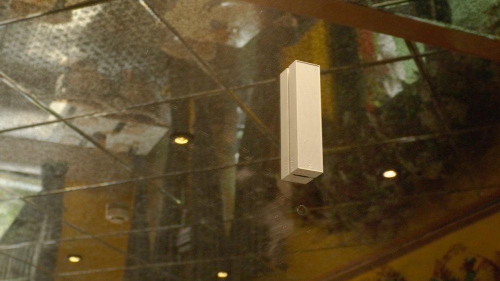 Cane on a Mirrored Restaurant Bar Ceiling