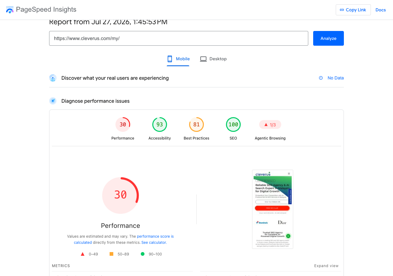 Before — WordPress site, mobile test: performance 30 (27 July 2026)