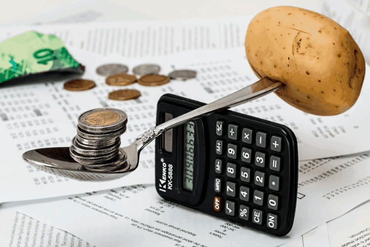 cost of hiring web designer