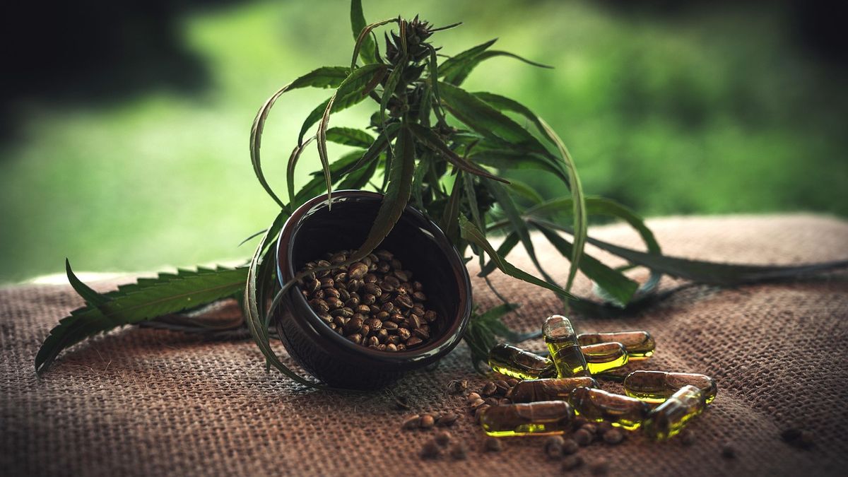 CBD Business SEO Case Study: 1,900% Traffic Growth