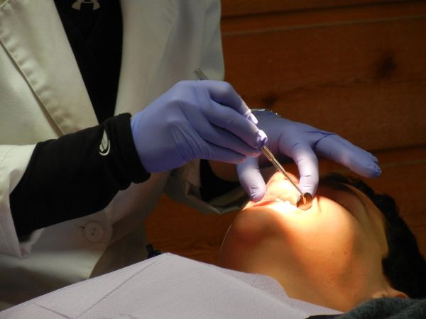 Orthodontics SEO Case Study: 1,800+ Monthly Visitors