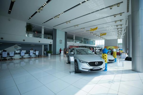 Car Dealership SEO Case Study: 300% Traffic Growth