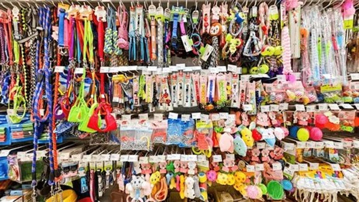 Pet Products SEO Case Study: 0 to 20,000+ Monthly Visitors