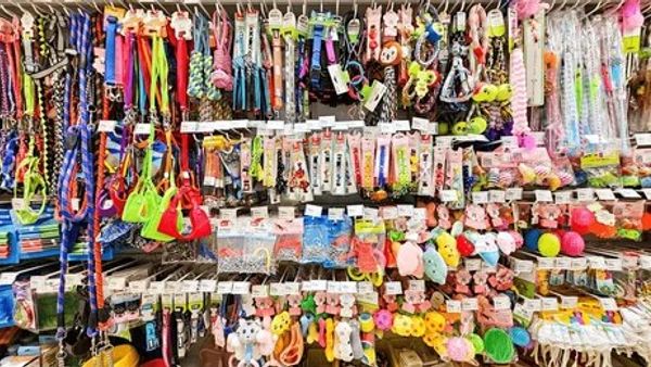 Pet Products SEO Case Study: 0 to 20,000+ Monthly Visitors