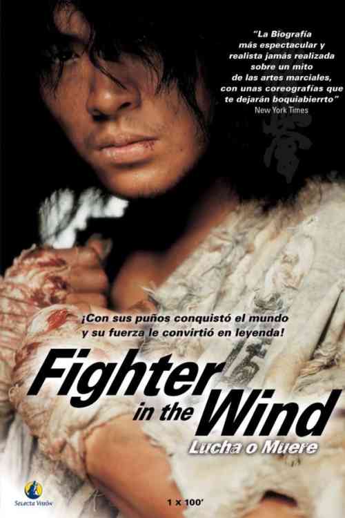 Fighter in the Wind | Rtally