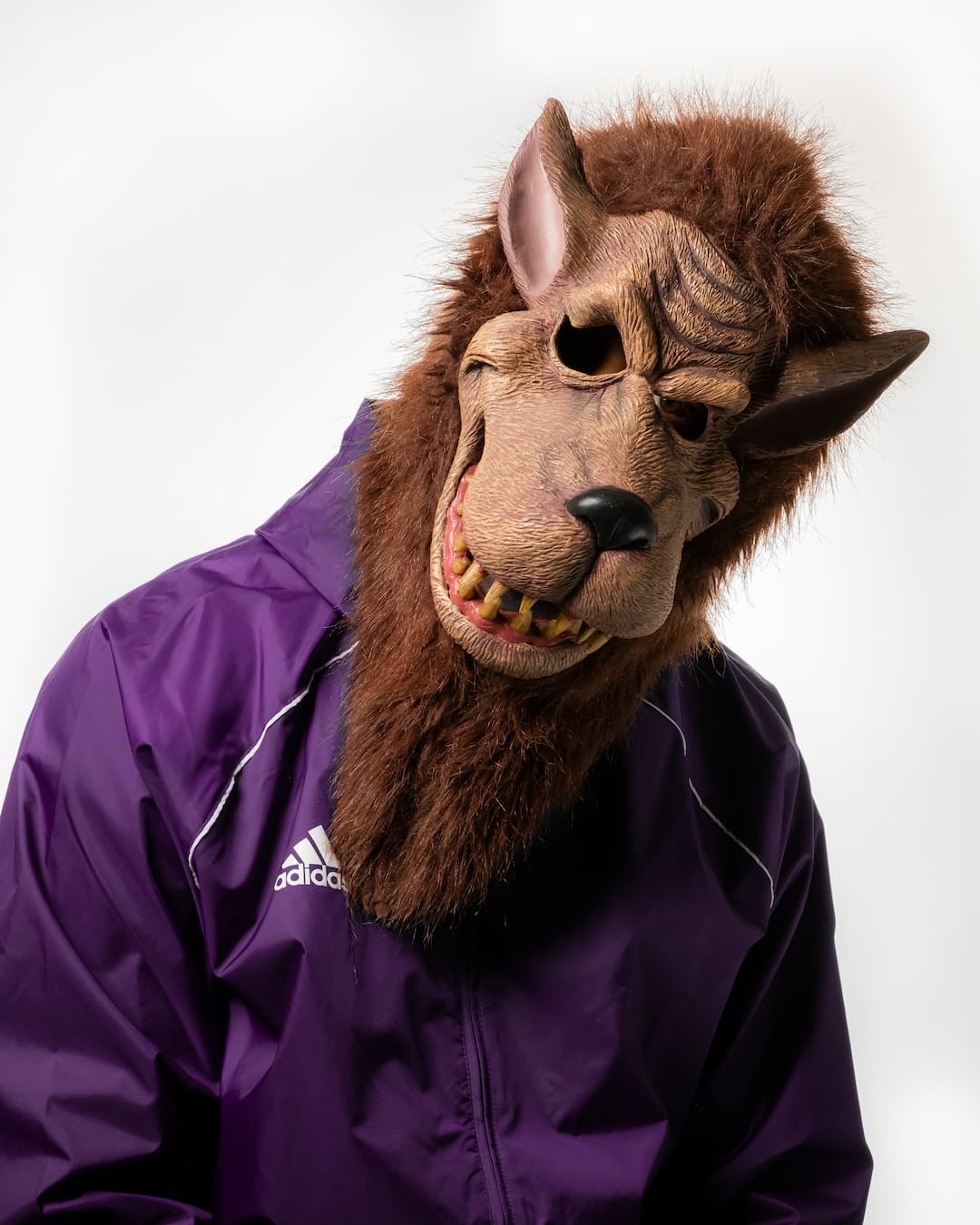 Teddy Kitano