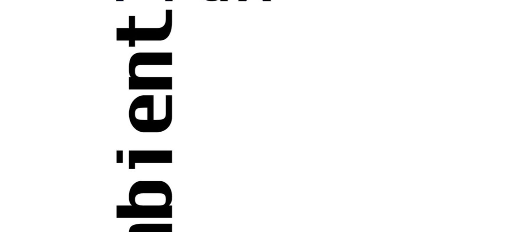 Ambient Flux Presents In Flux