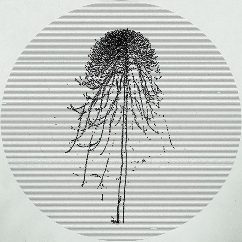 Hermetic Journals w/ Snows Ov Gethen