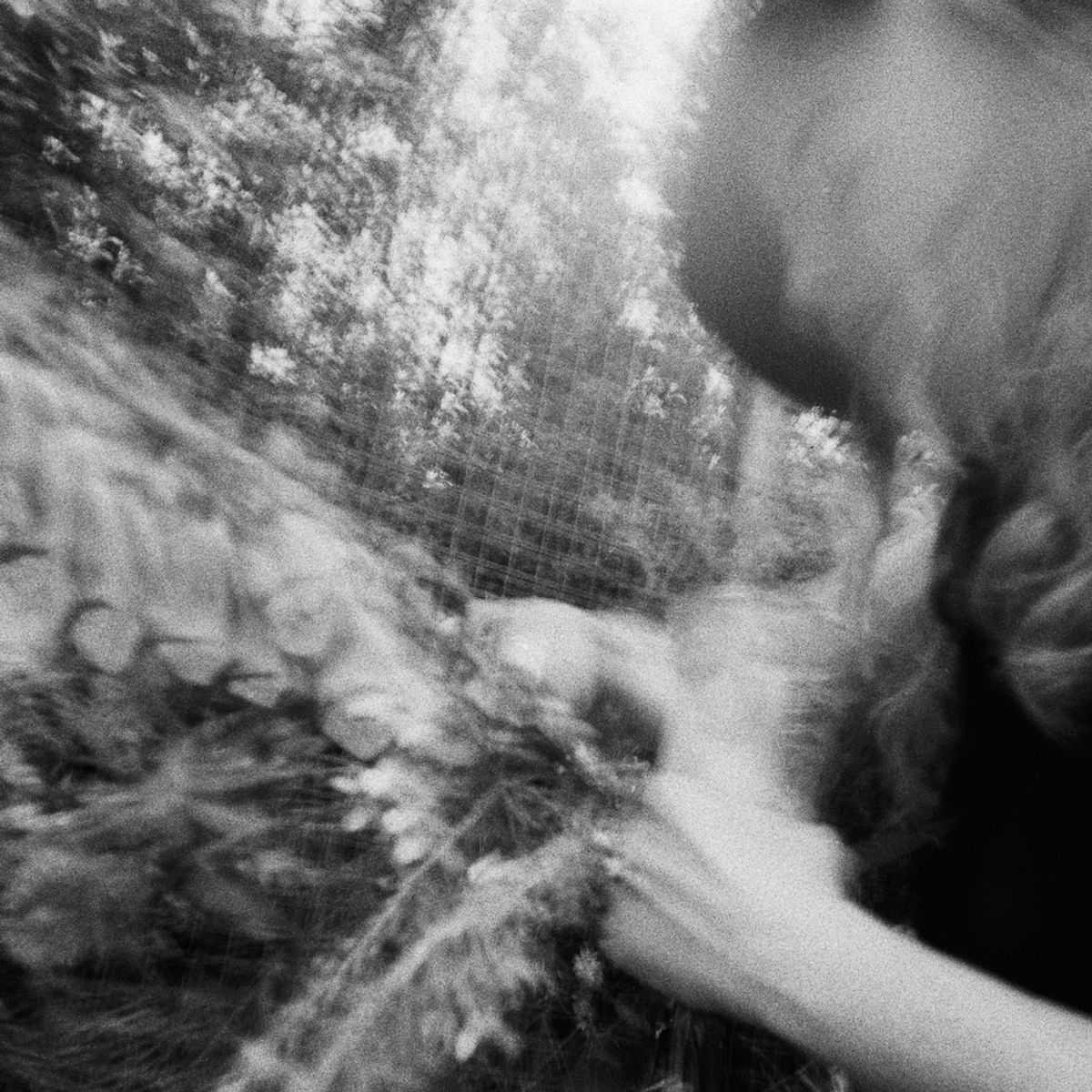 Quiet Moments w/ Emma Diamond