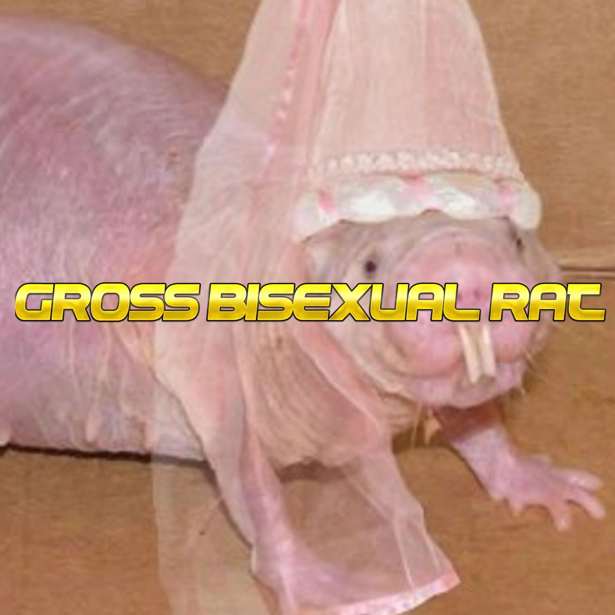 Gross Bisexual Rat Radio