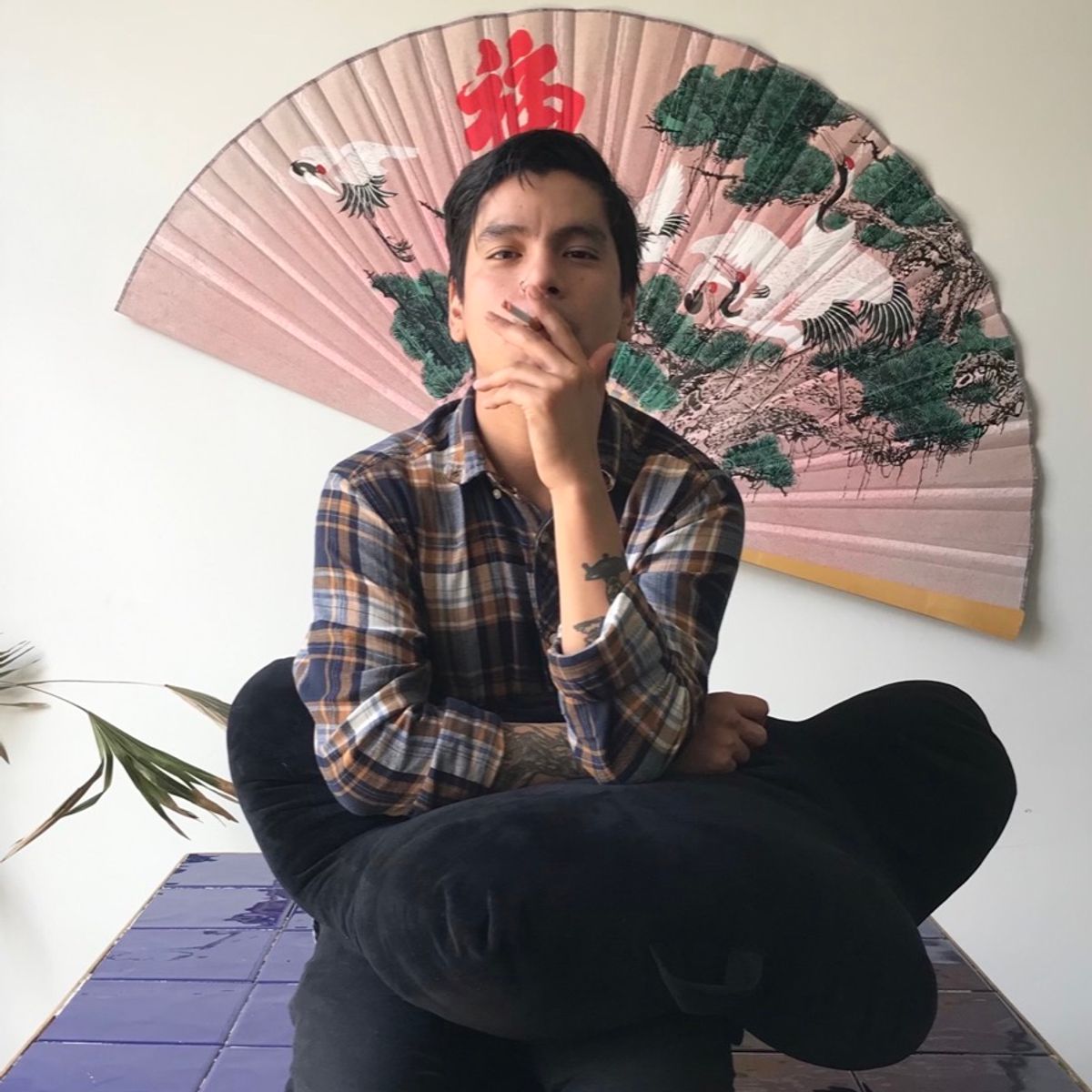 Sojo