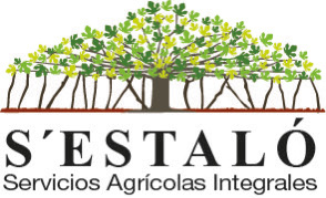S'estalo