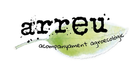 Arreu
