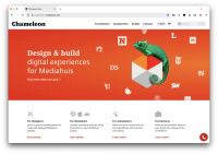 Website Chameleon