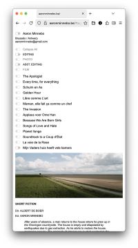 Website aaronminnebo