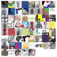 Website - Polipolette