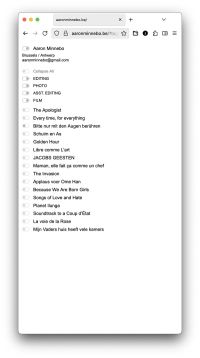 Website aaronminnebo