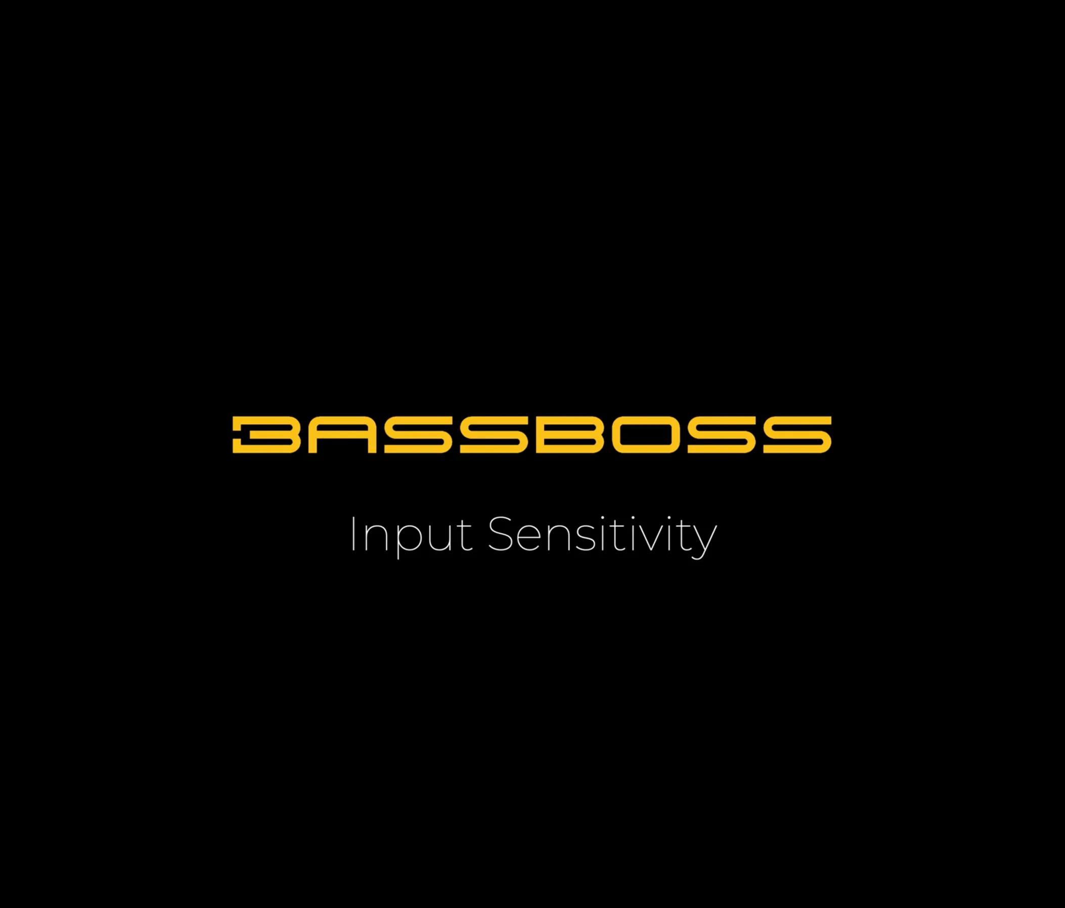 Input Sensitivity Image