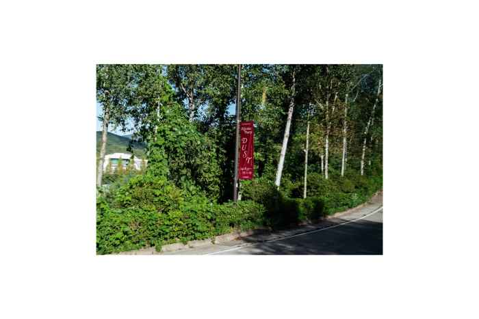 Nicolas Party – Dust