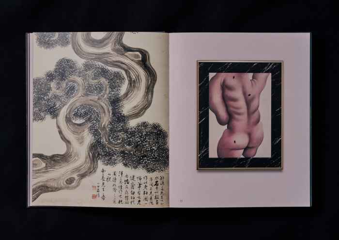 Nicolas Party – Dust