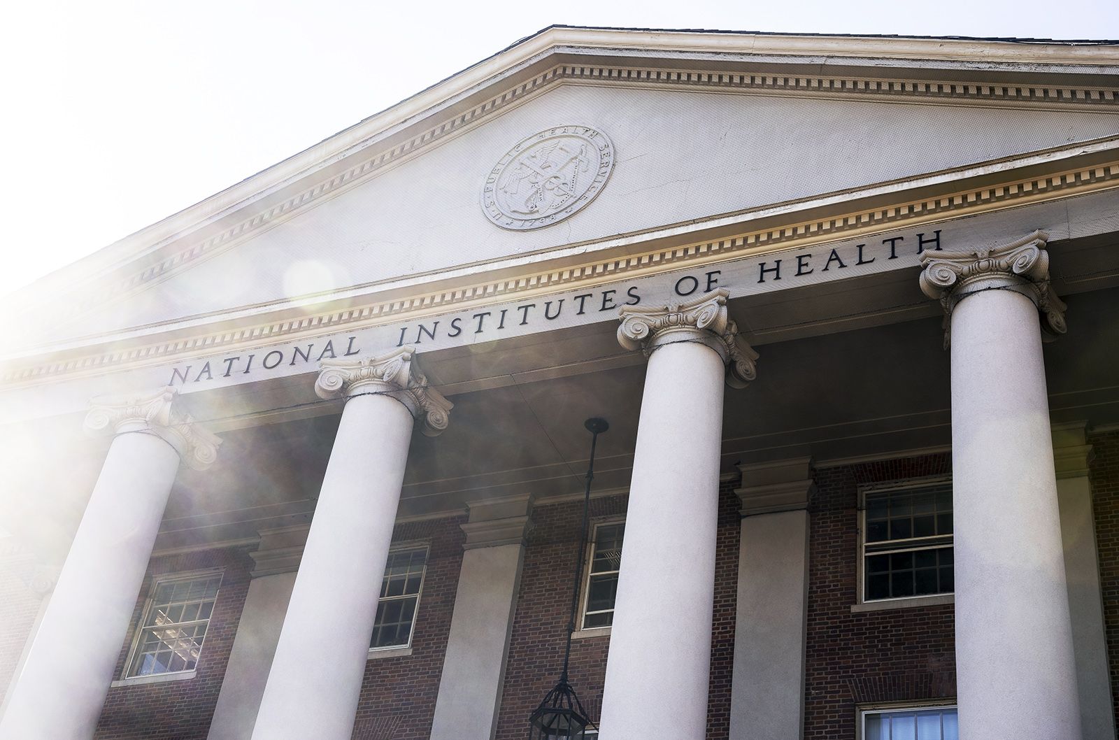 Oversight Project Secures the Release of Transgender Study After Delay from NIH