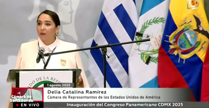 Oversight Project’s Resolution to Expel Representative Delia Ramirez