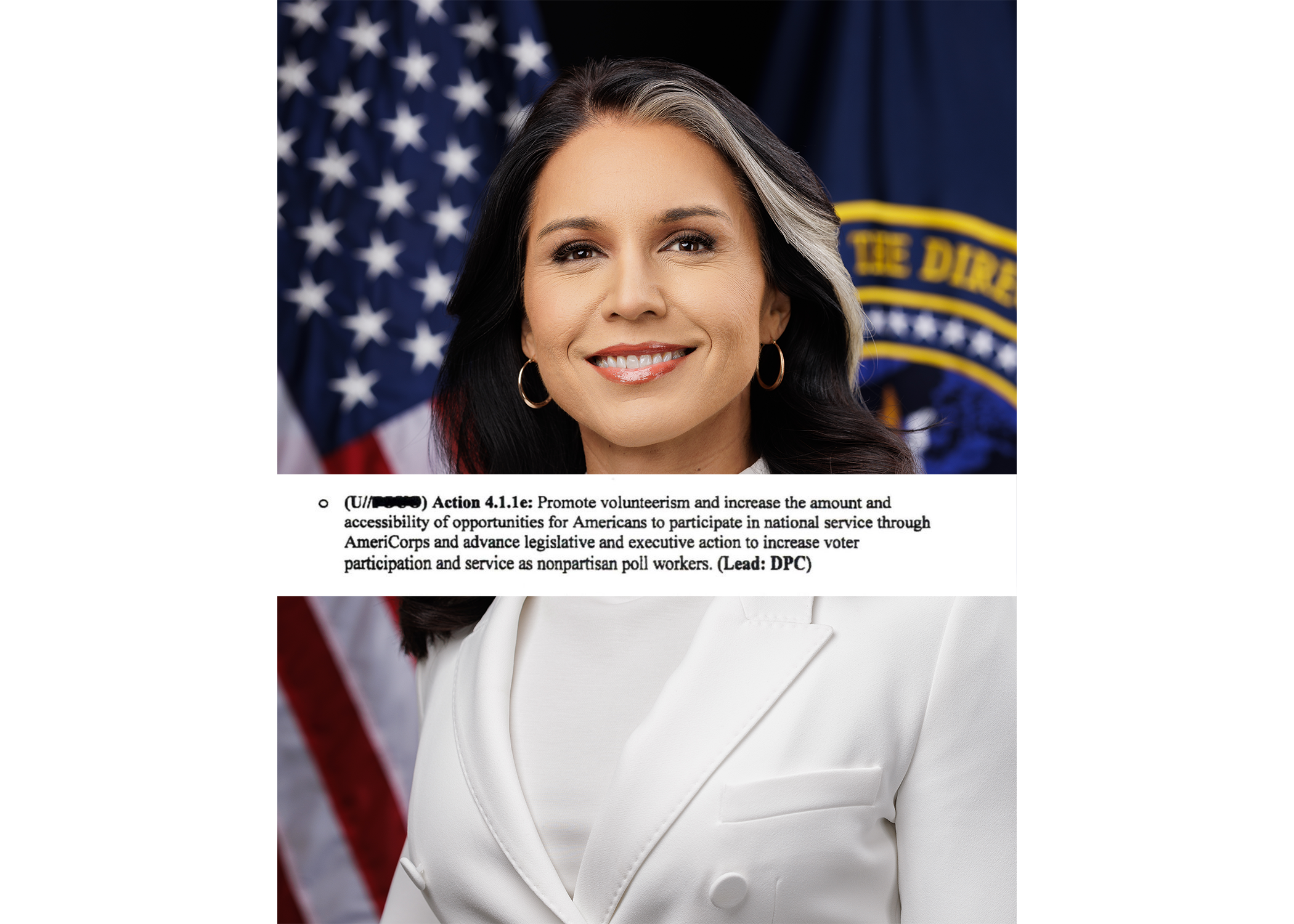 DNI Declassifies Biden Admin’s Domestic Terrorism Strategy Confirming Oversight Project Investigation into Election Rigging Efforts