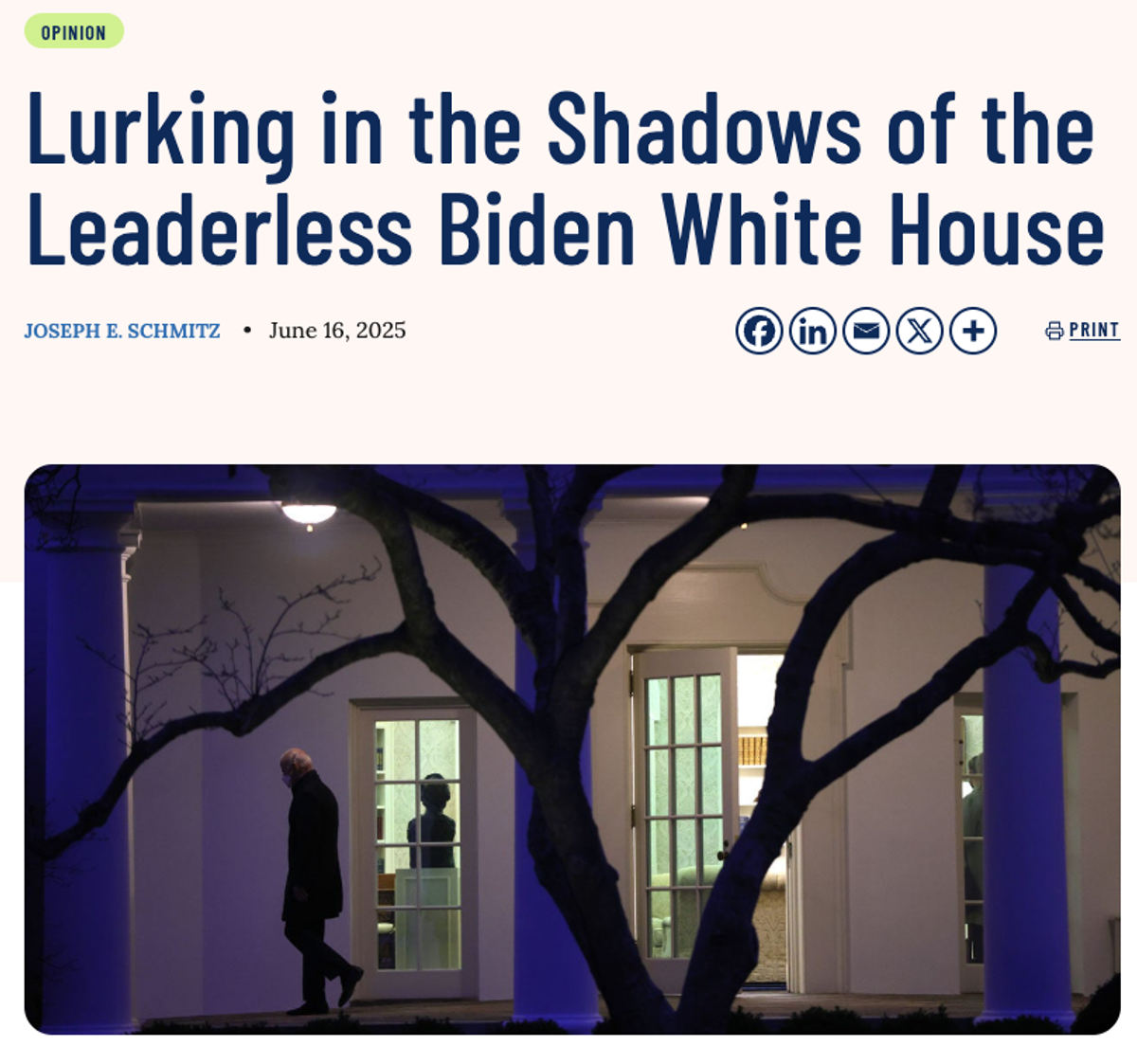 Lurking in the Shadows of the Leaderless Biden White House