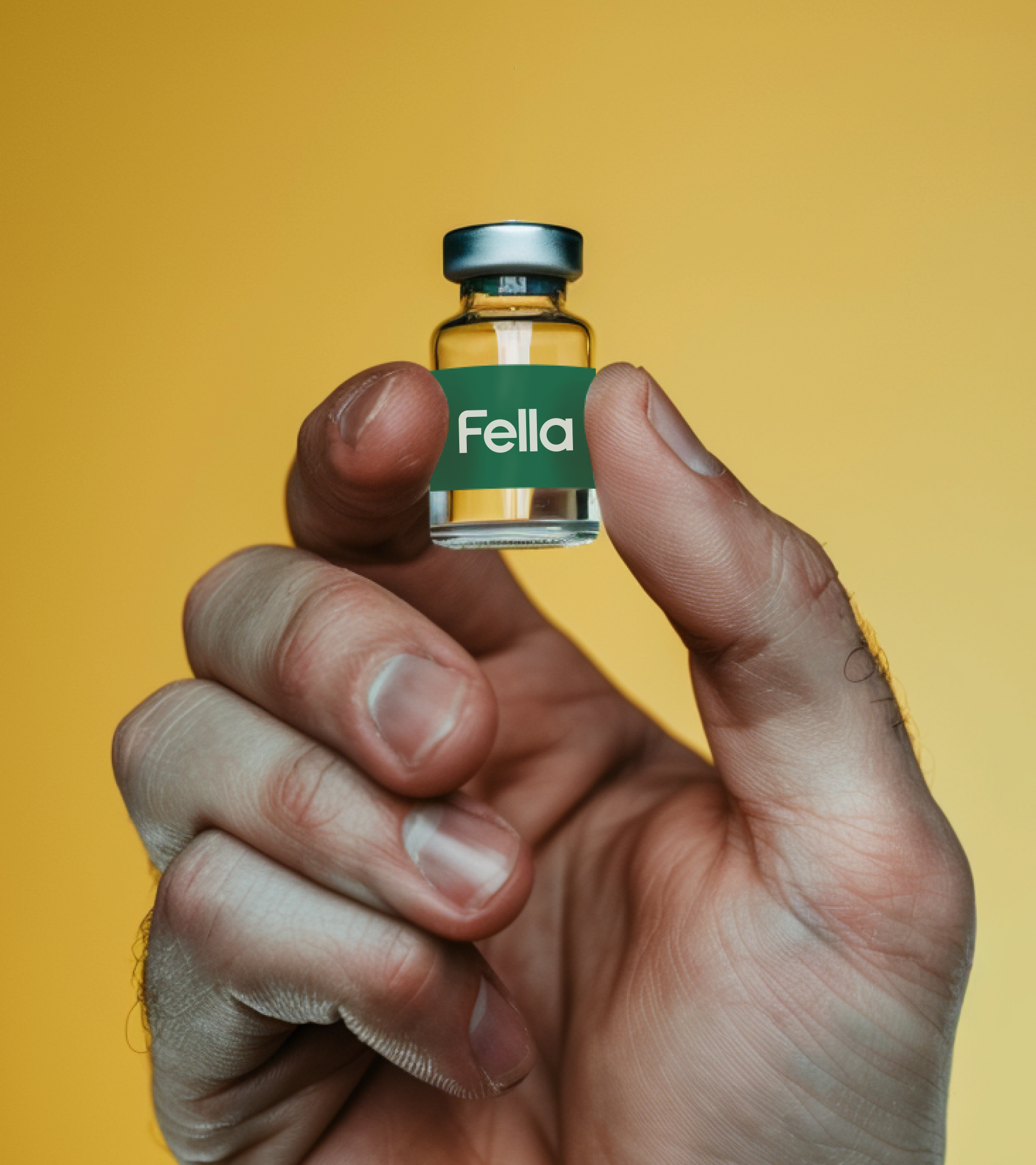 Fella project image 2