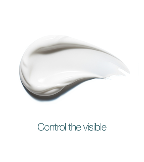 Skin Moderne project image 3