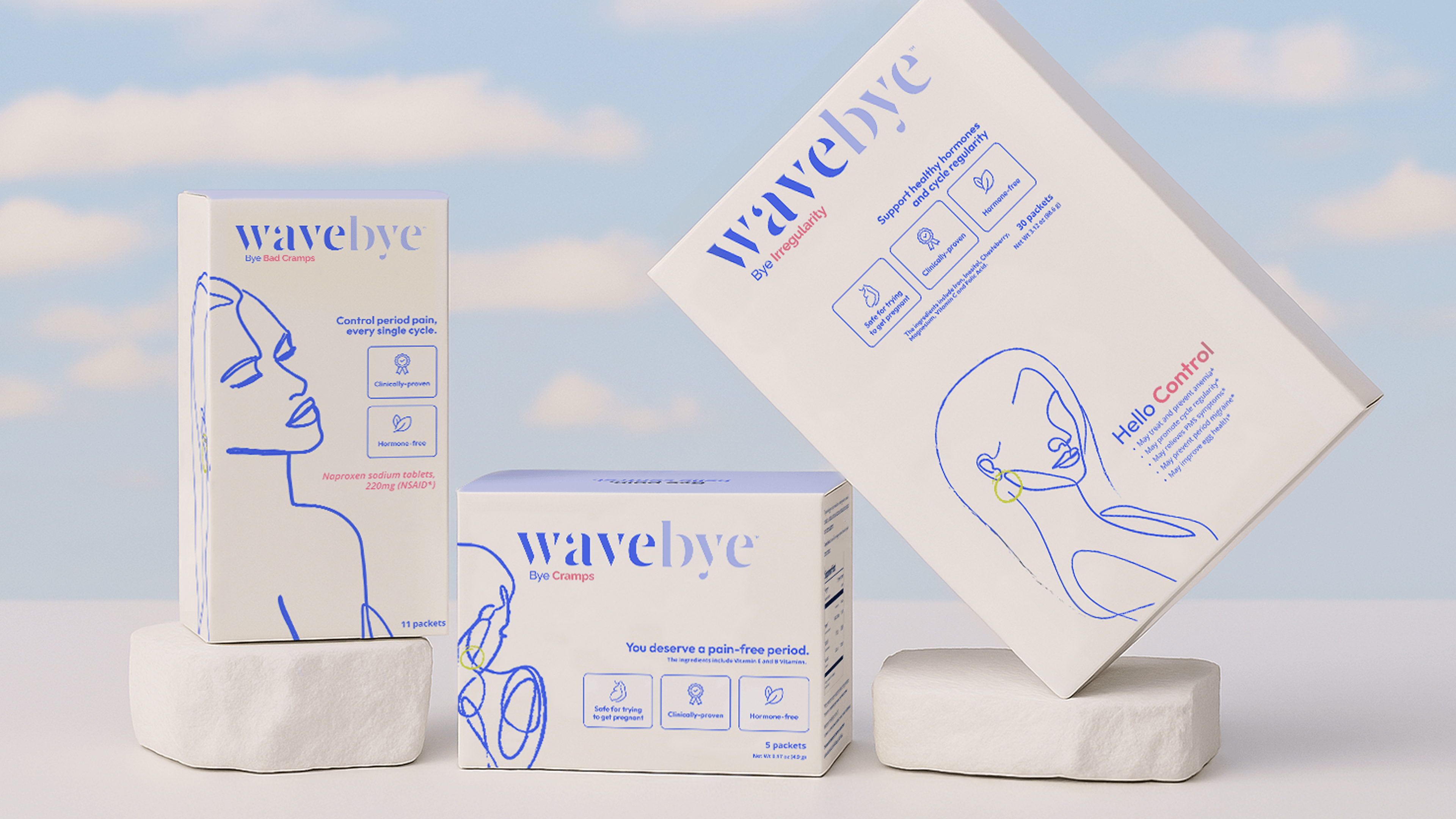 WaveBye cover