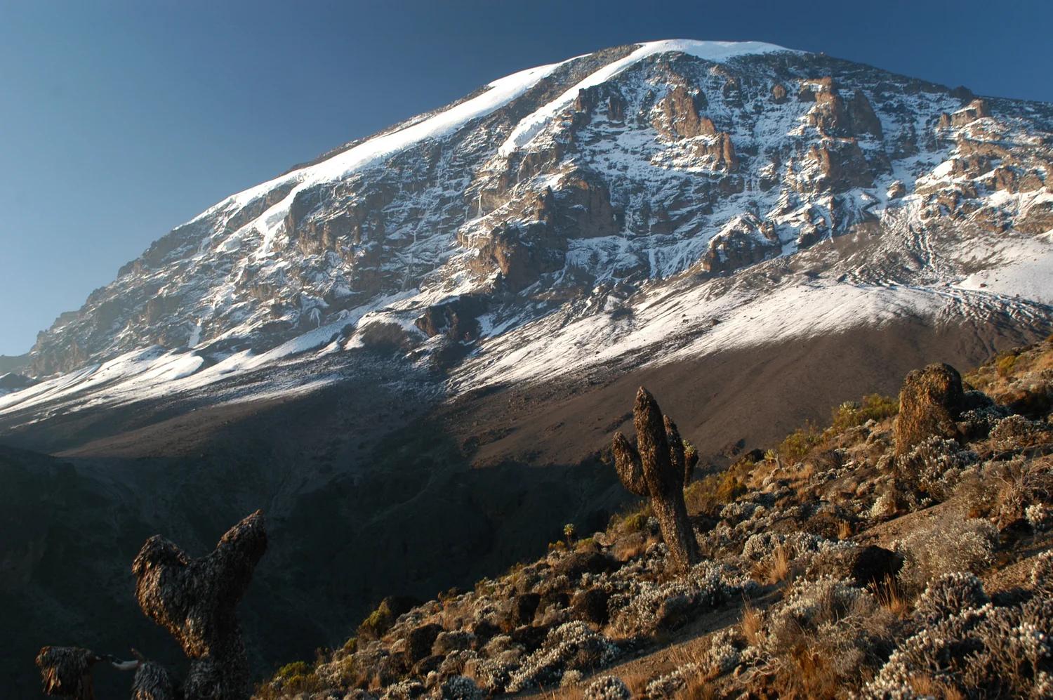 Kilimanjaro 
