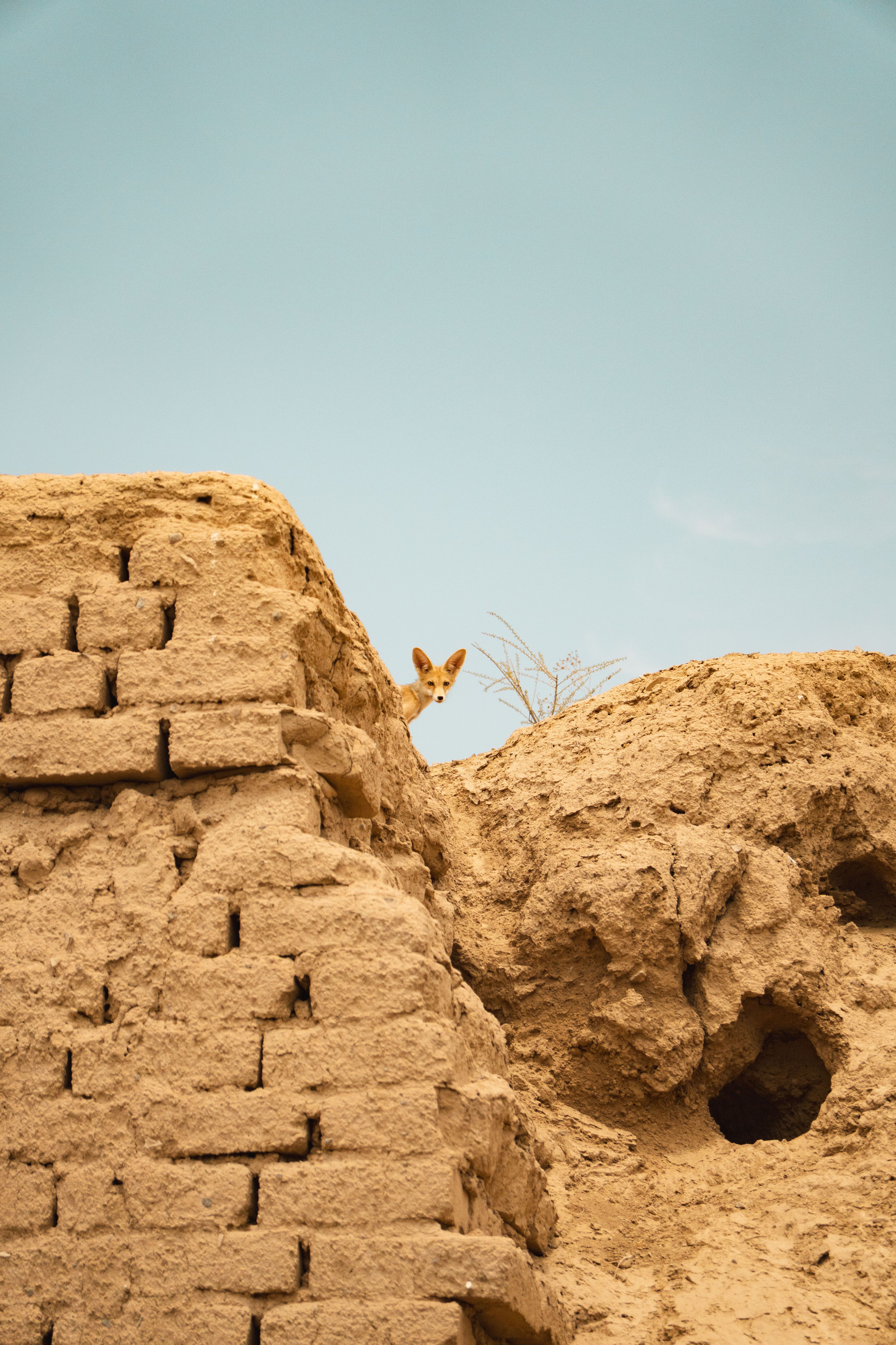 Parthian Fortresses of Nisa