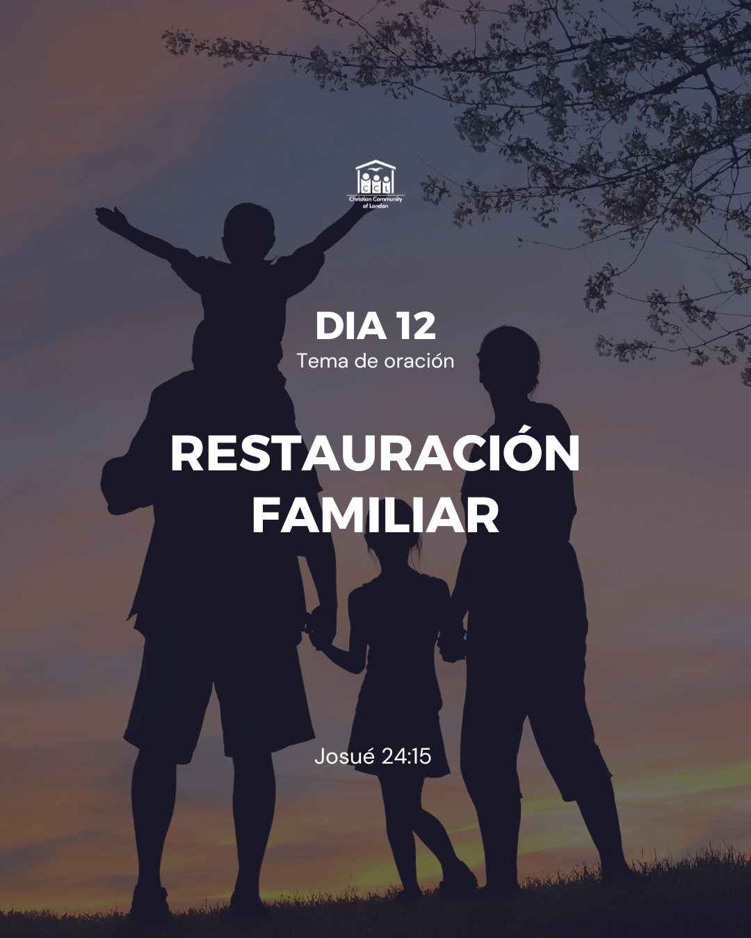 Día 12: Restauración Familiar