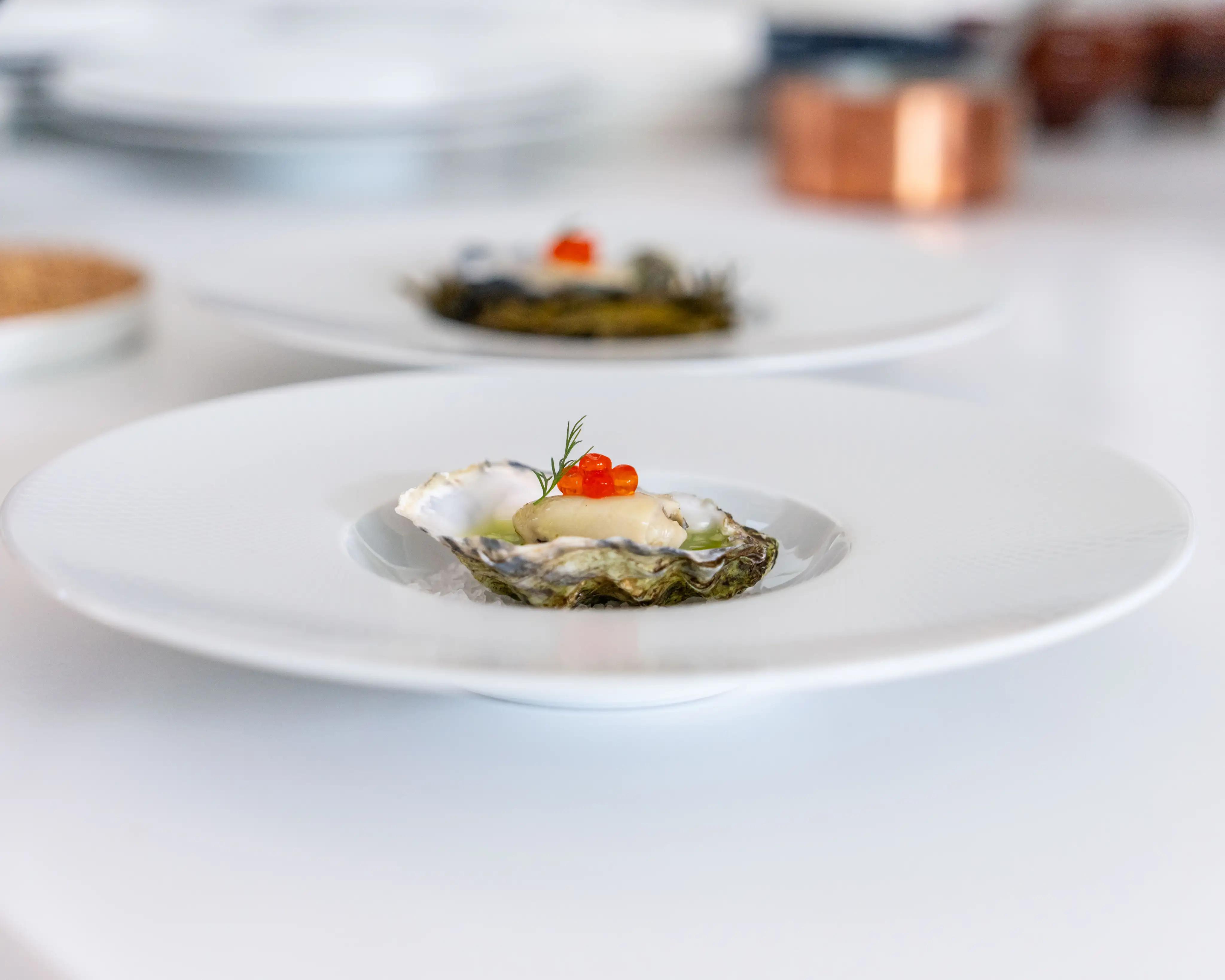 Oyster