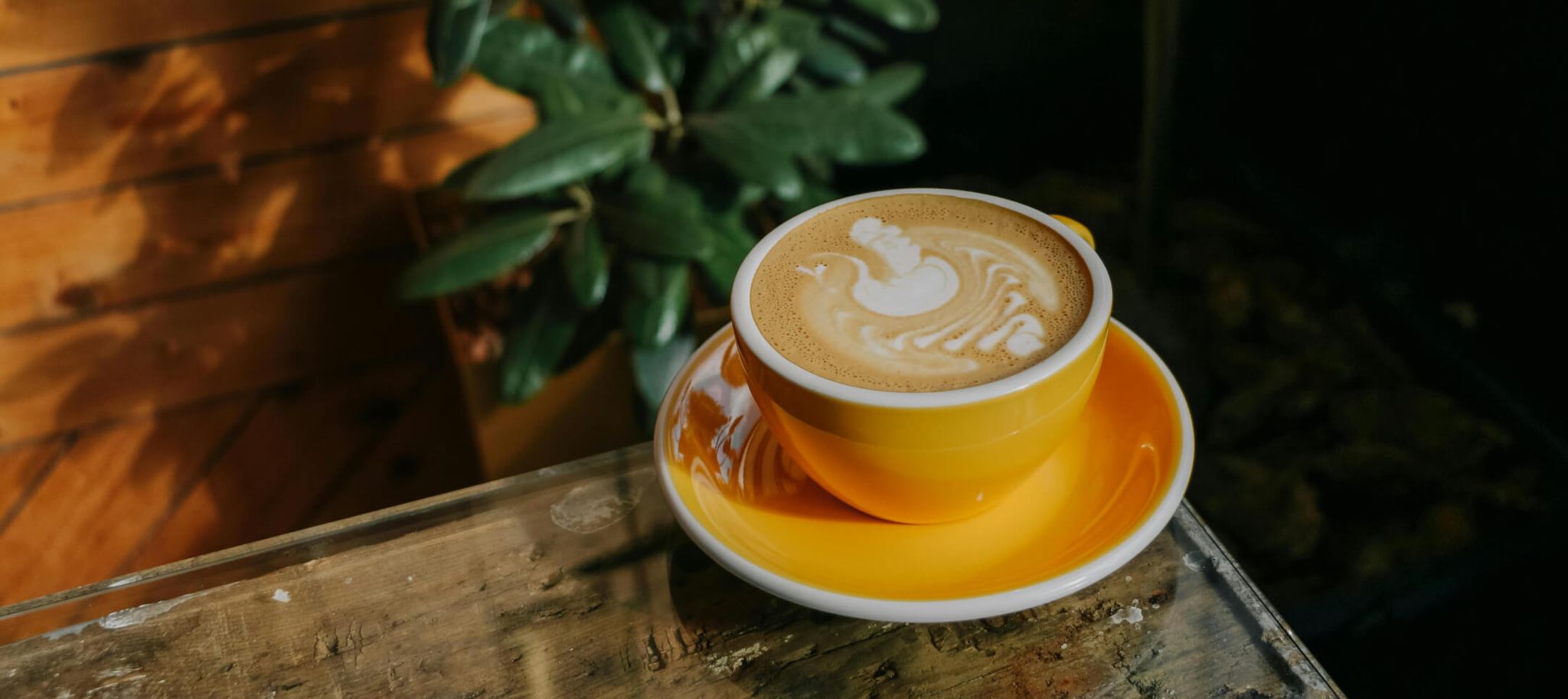 Can You Drink Coffee on Semaglutide? 2026 Guide